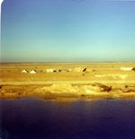 Canal de Suez - Ct Egyptien